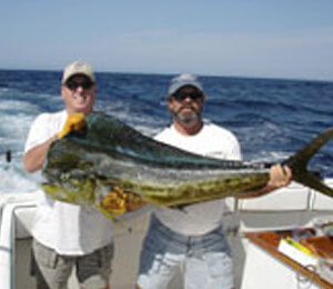 Cabo San Lucas Light Tackle Fishing 