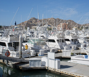 Cabo San Lucas Luxury Fishing Charters