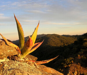 Cabo San Lucas Hiking Tours