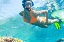 Cabo San Lucas Snorkeling