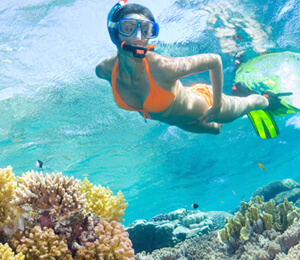 Cabo San Lucas Snorkeling