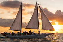 Cabo San Lucas Sunset Cruises