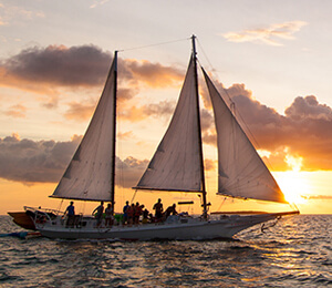 Cabo San Lucas Sunset Cruises