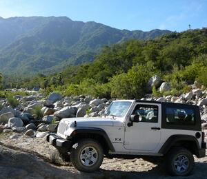 Cabo San Lucas Desert Safari